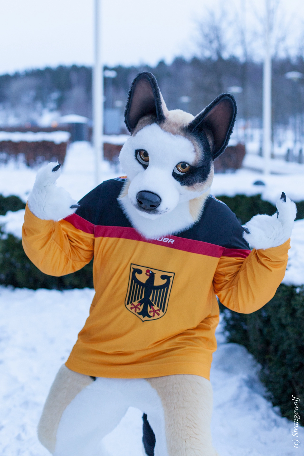 full image IMG_0814-lr19t.jpg