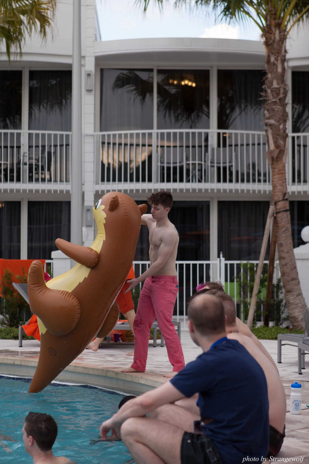 full image IMG_8333-lr16t.jpg