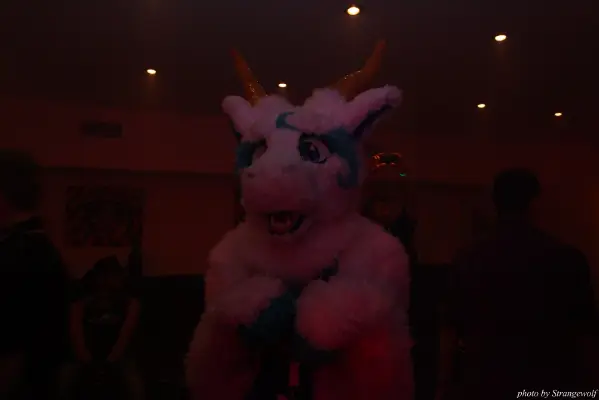 IMG_7556-lr16t.jpg of CFD/CFD13/