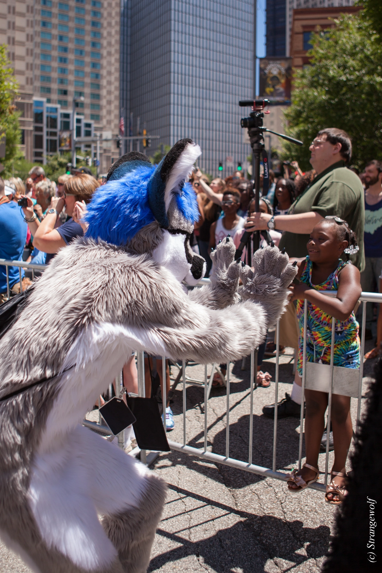 full image IMG_3850-lr19t.jpg