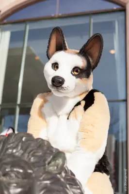 IMG_9565-lr19t.jpg of NFC/NFC2018/