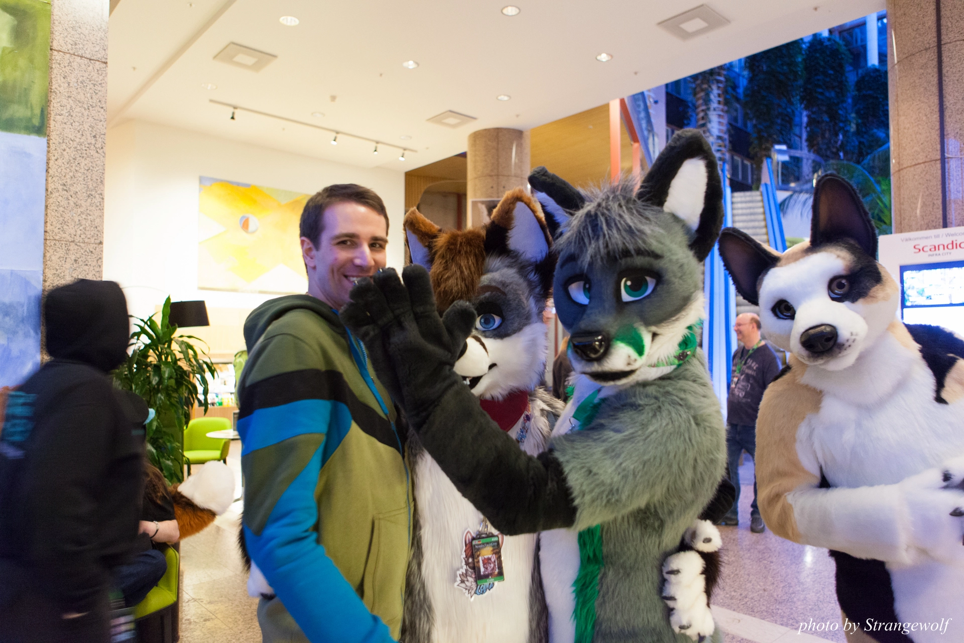 full image IMG_0715-lr19t.jpg