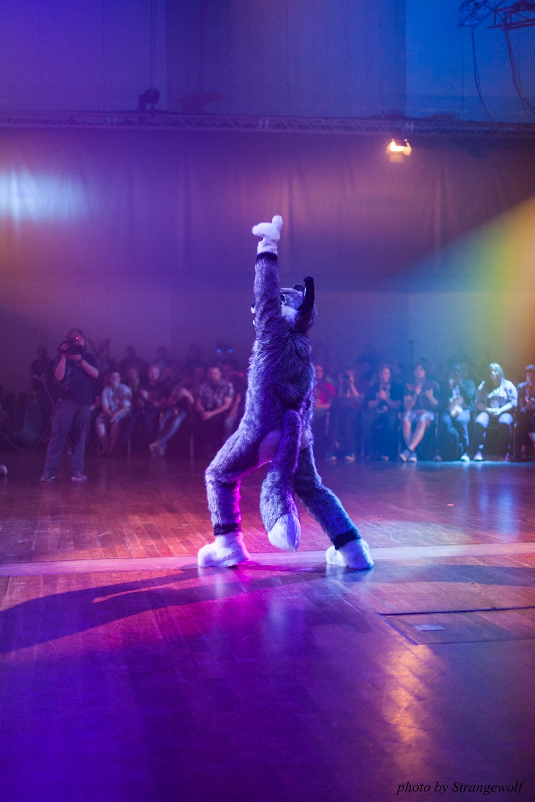 full image IMG_2966-lr16t.jpg