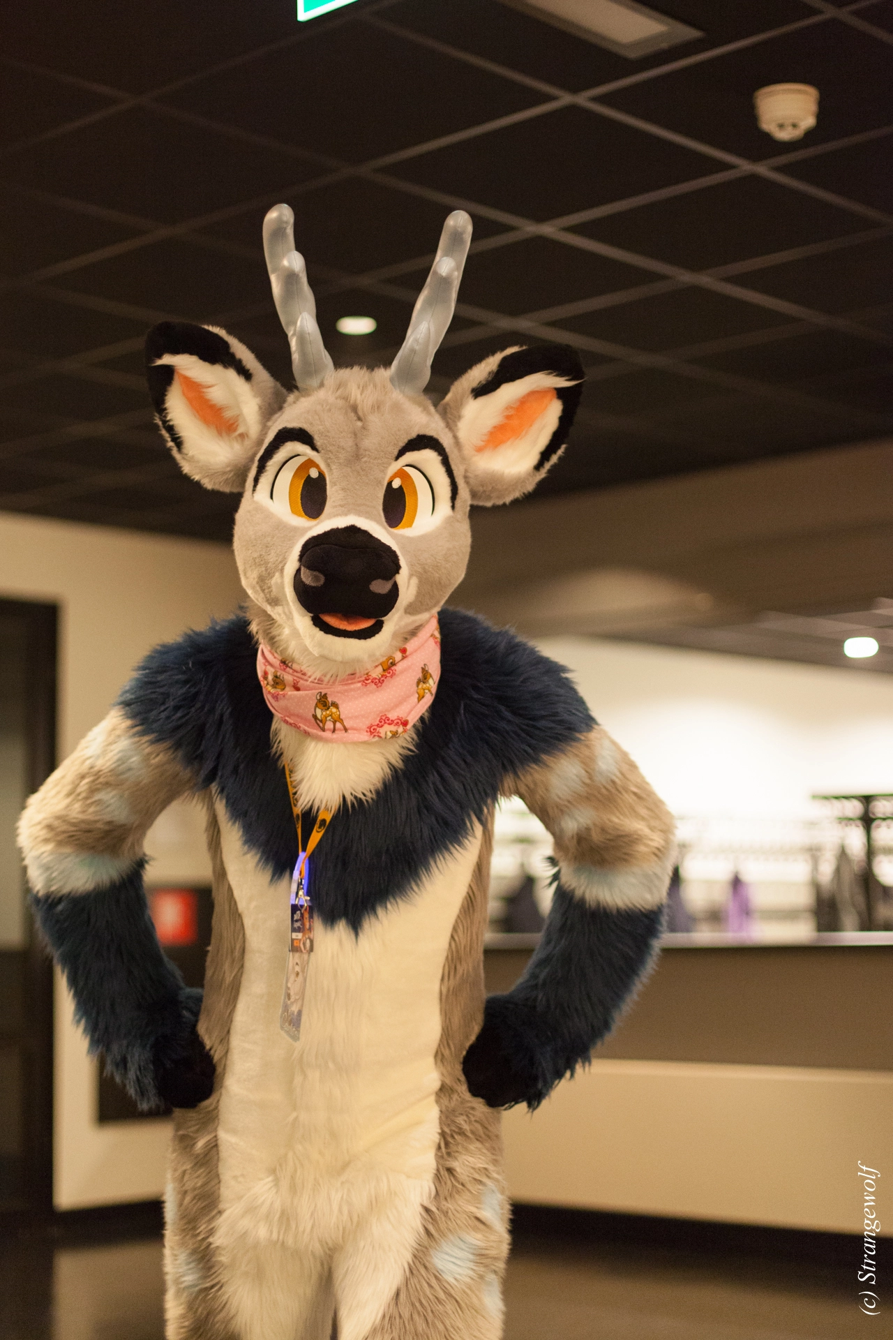 full image IMG_6358-lr19t.jpg