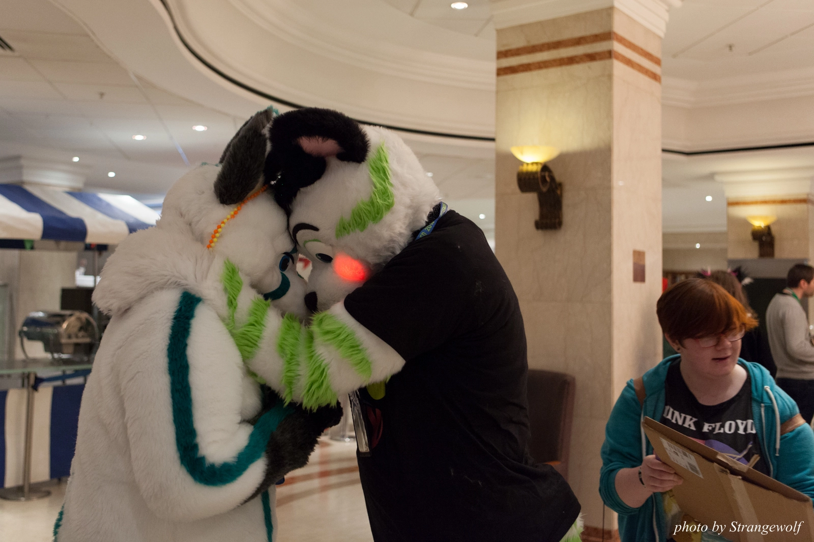 full image IMG_7587-lr16t.jpg