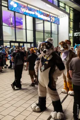 1R3A9474-lr19t.jpg of EF/EF29/