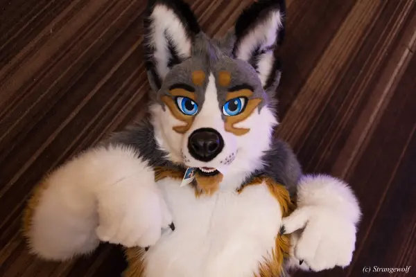 IMG_1942-lr19t.jpg of FWA/FWA2018/