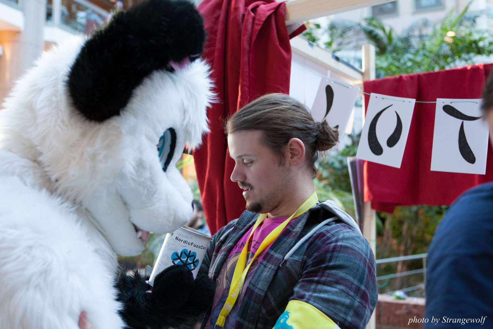 full image IMG_2090-lr16t.jpg