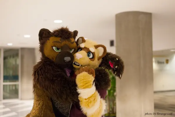 IMG_1104-lr16t.jpg of FC/FC2017/