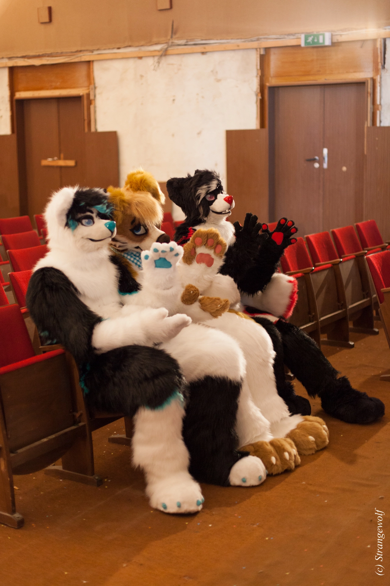 full image IMG_5952-lr19t.jpg