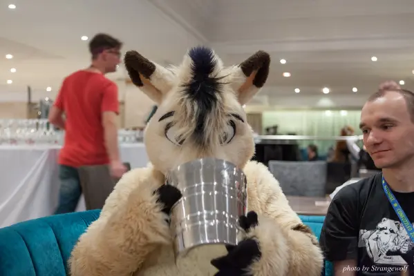 IMG_7242-lr16t.jpg of CFZ/CFZ2016/