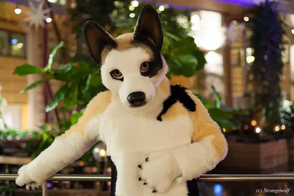 IMG_9802-lr19t.jpg of NFC/NFC2019/