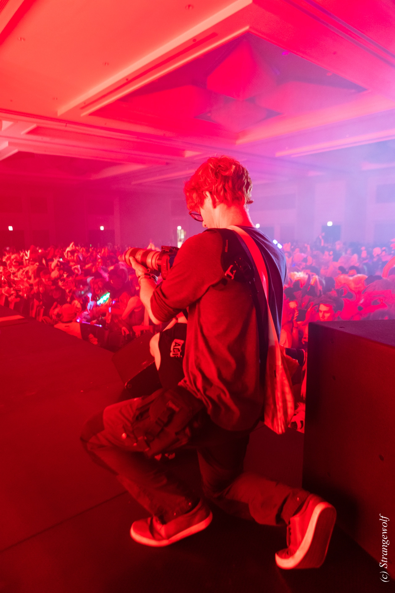 full image 1R3A6707-lr19t.jpg