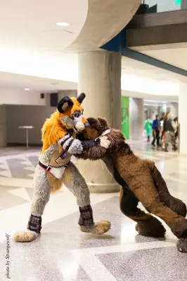 IMG_1193-lr16t.jpg of FC/FC2017/