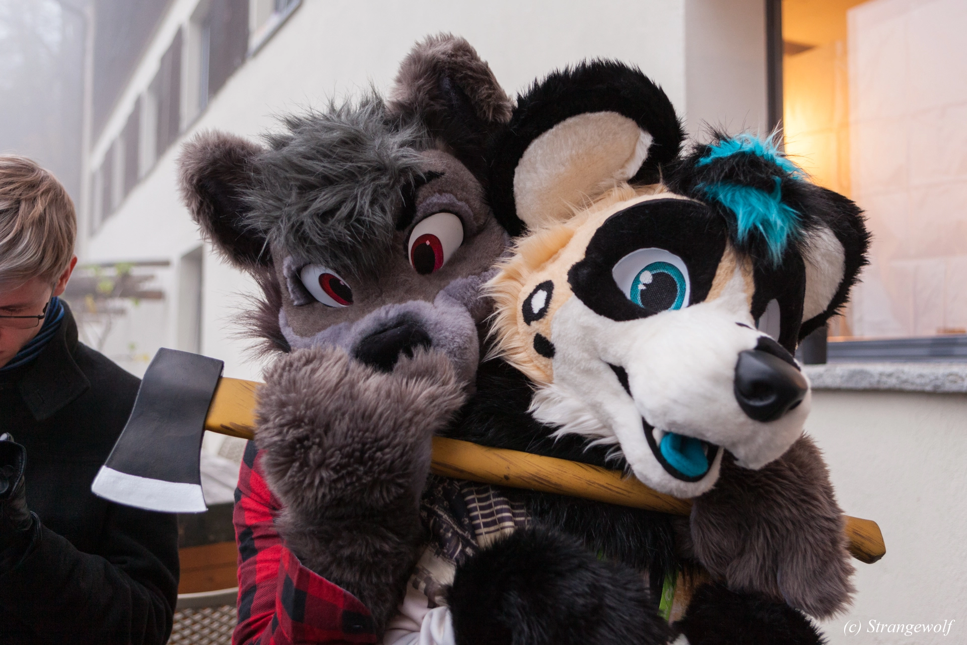 full image IMG_7022-lr19t.jpg