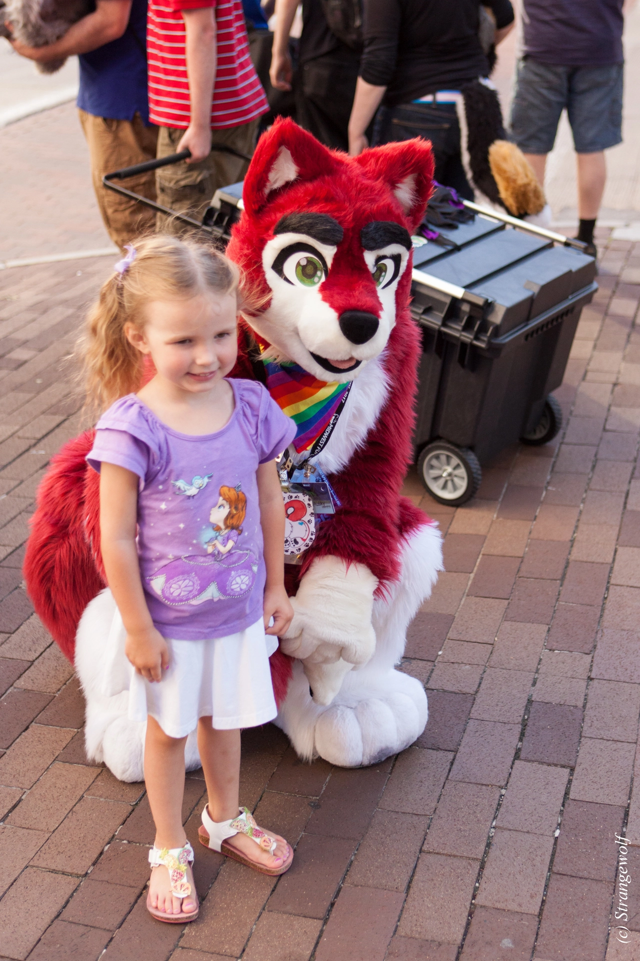 full image IMG_3731-lr19t.jpg