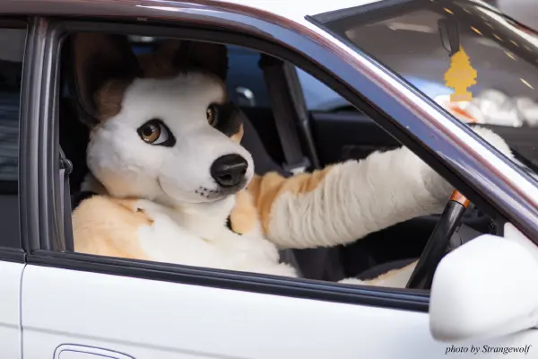 IMG_6812-lr19t.jpg of EF/EF23/MotorFurs/