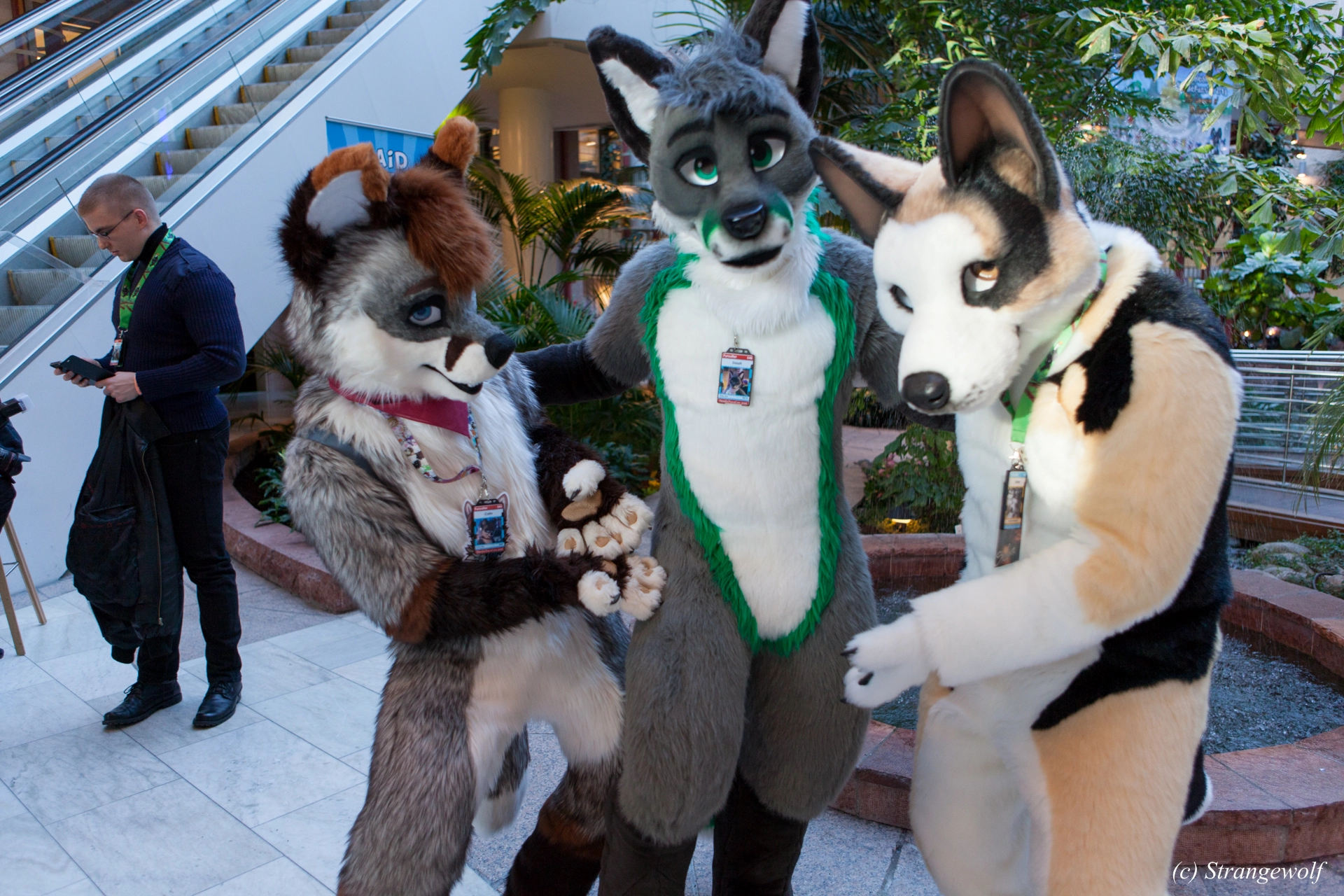 full image IMG_0195-lr19t.jpg