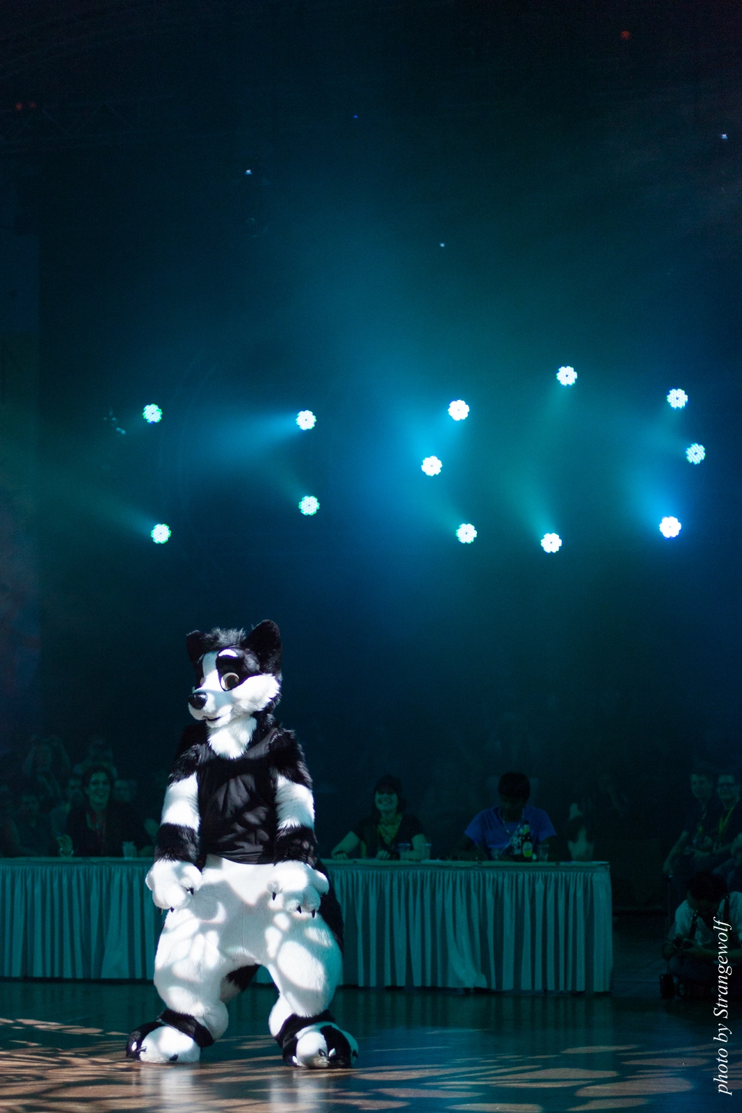 full image IMG_9520-lr16t.jpg