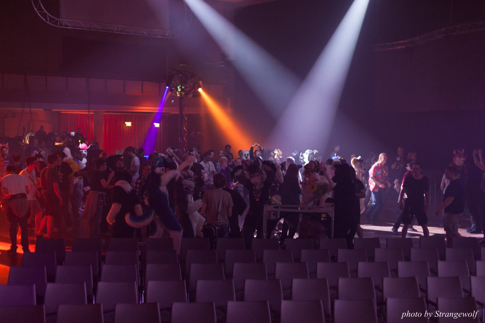 full image IMG_1687-lr16t.jpg