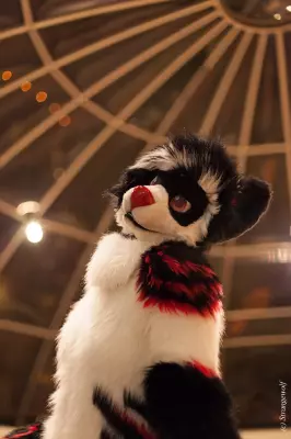 IMG_7139-lr19t.jpg of MFF/MFF2018/