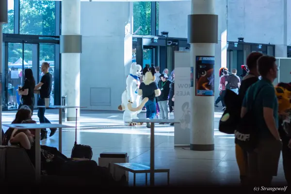 1R3A9217-lr19t.jpg of EF/EF29/