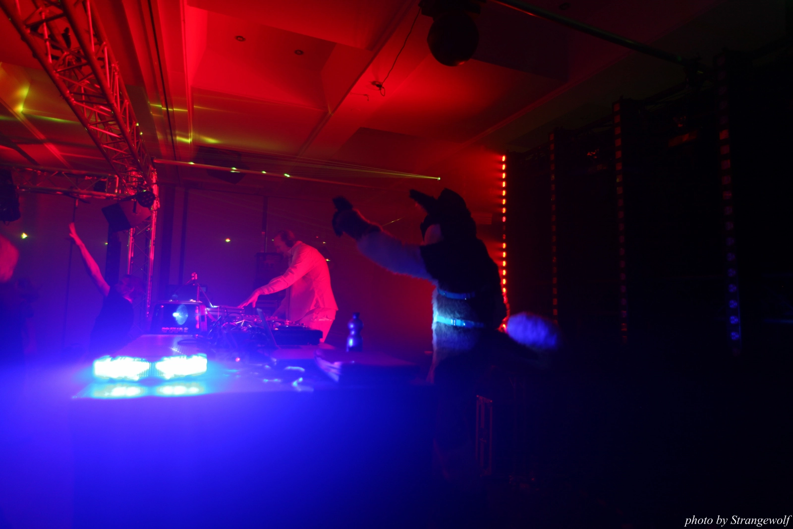 full image IMG_7710-lr16t.jpg