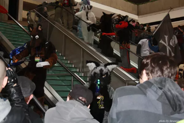 IMG_0598-lr.jpg of MFF/MFF2013/