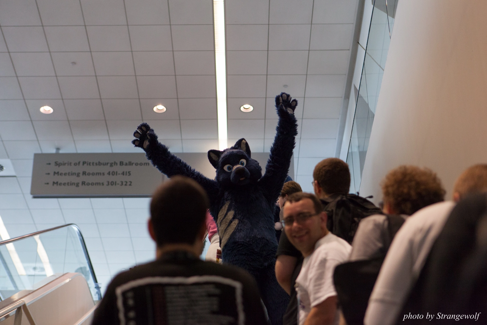 full image IMG_7998-lr16t.jpg