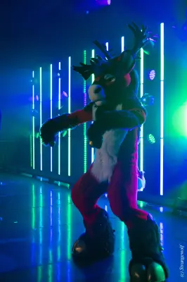 1R3A5131-lr19t.jpg of MFF/MFF2024/