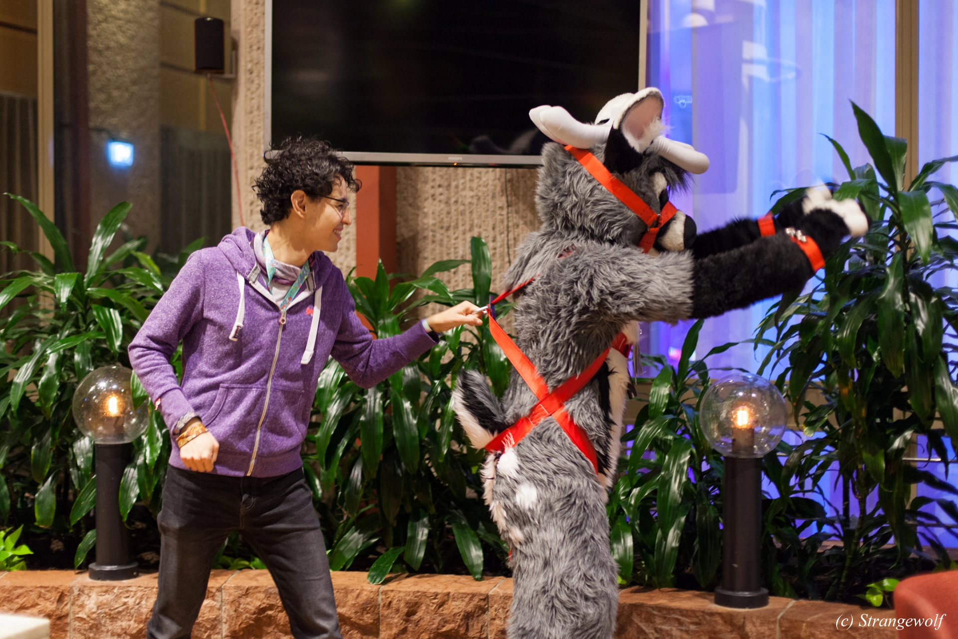 full image IMG_9243-lr19t.jpg