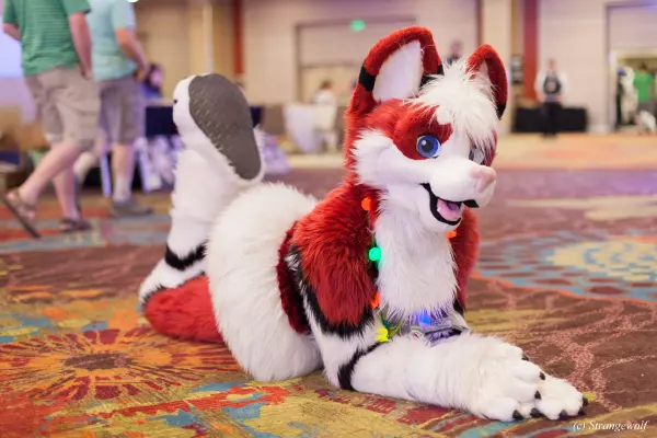 IMG_3110-lr19t.jpg of BLFC/2018/