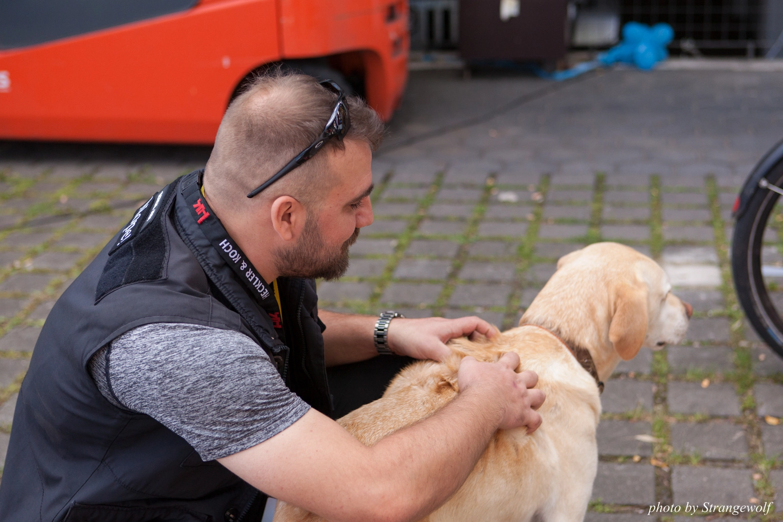 full image IMG_6977-lr16t.jpg