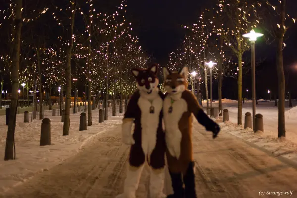 IMG_9428-lr19t.jpg of NFC/NFC2018/