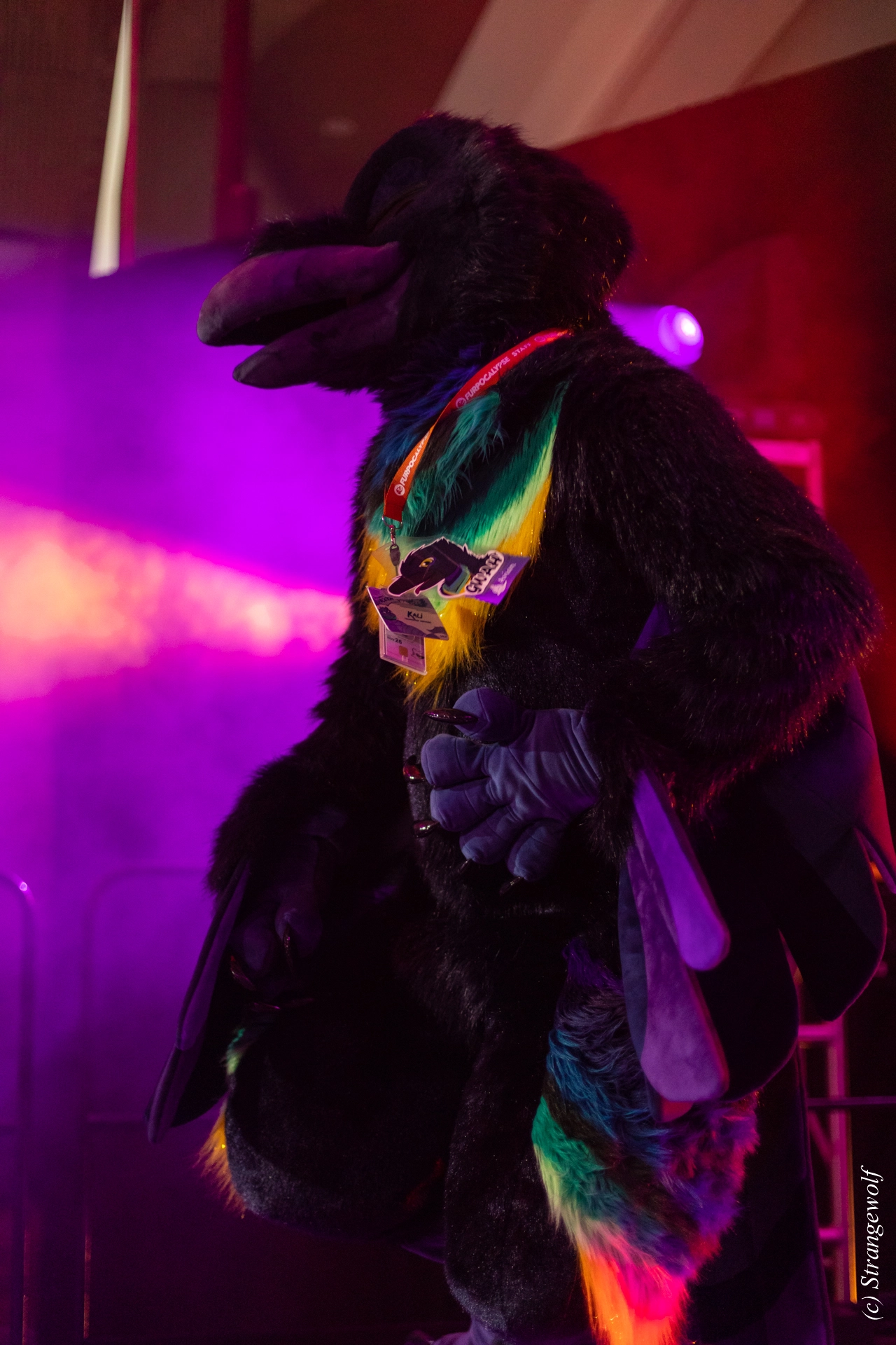 full image 1R3A0701-lr19t.jpg