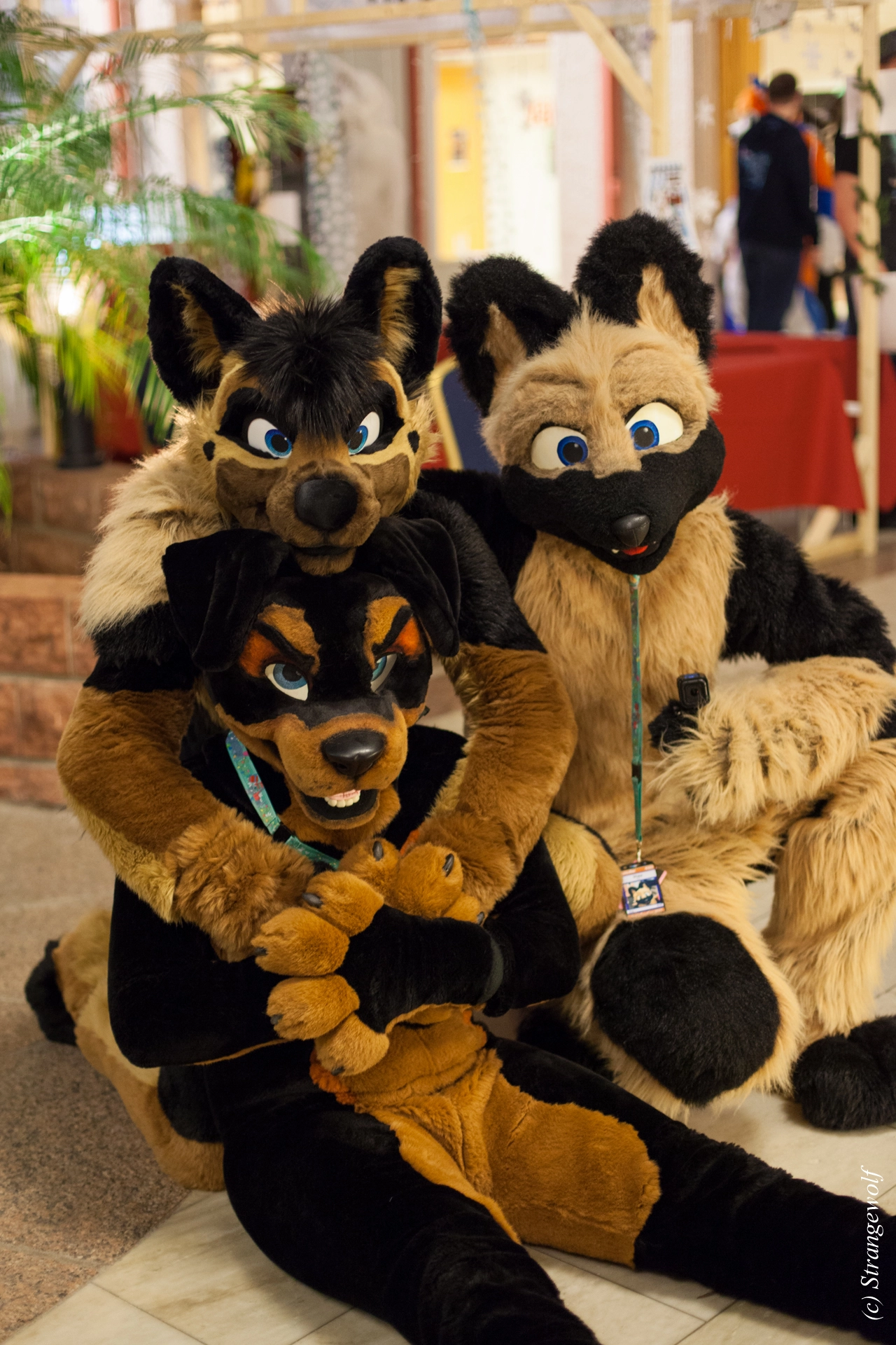 full image IMG_9343-lr19t.jpg