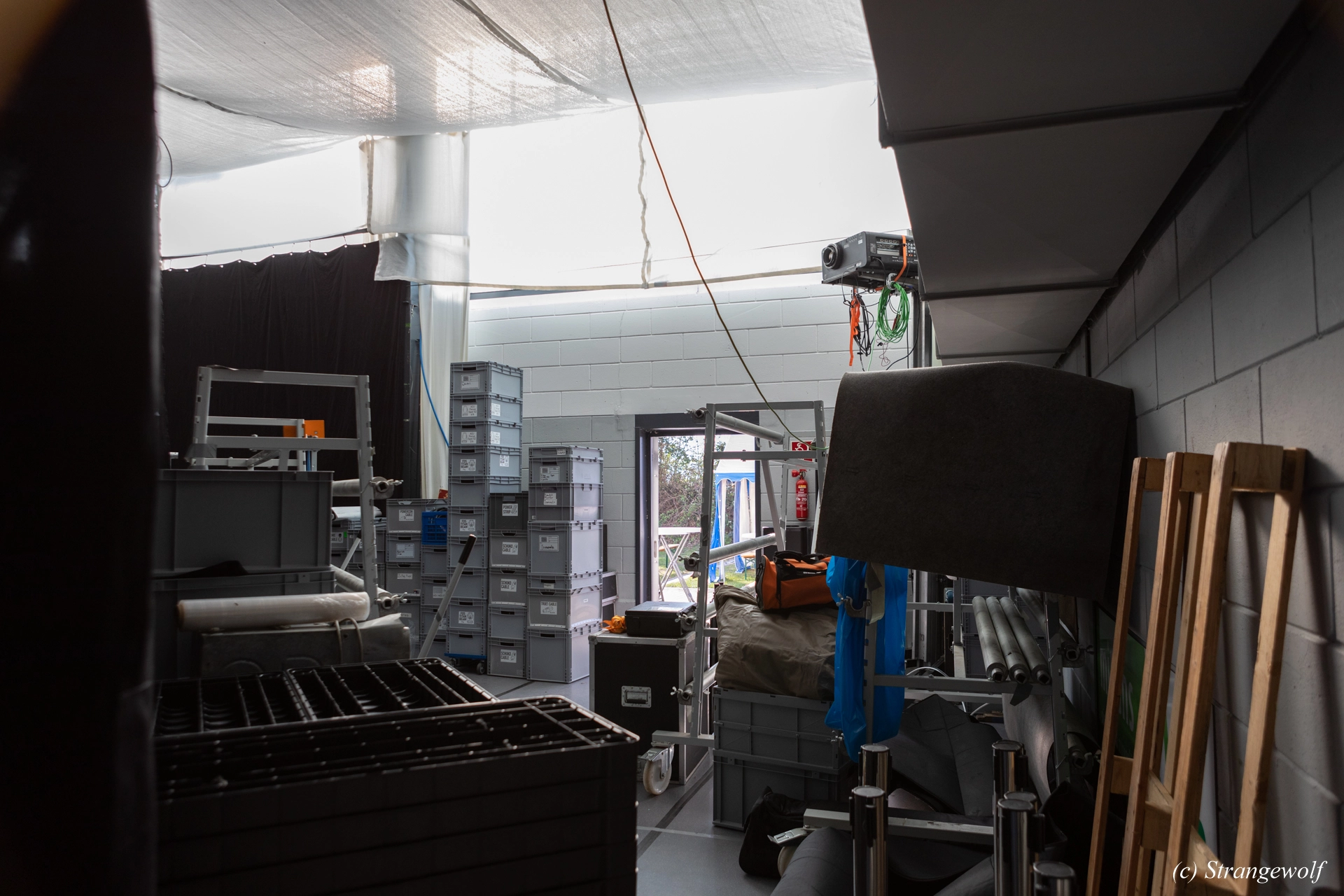 full image 1R3A7462-lr19t.jpg