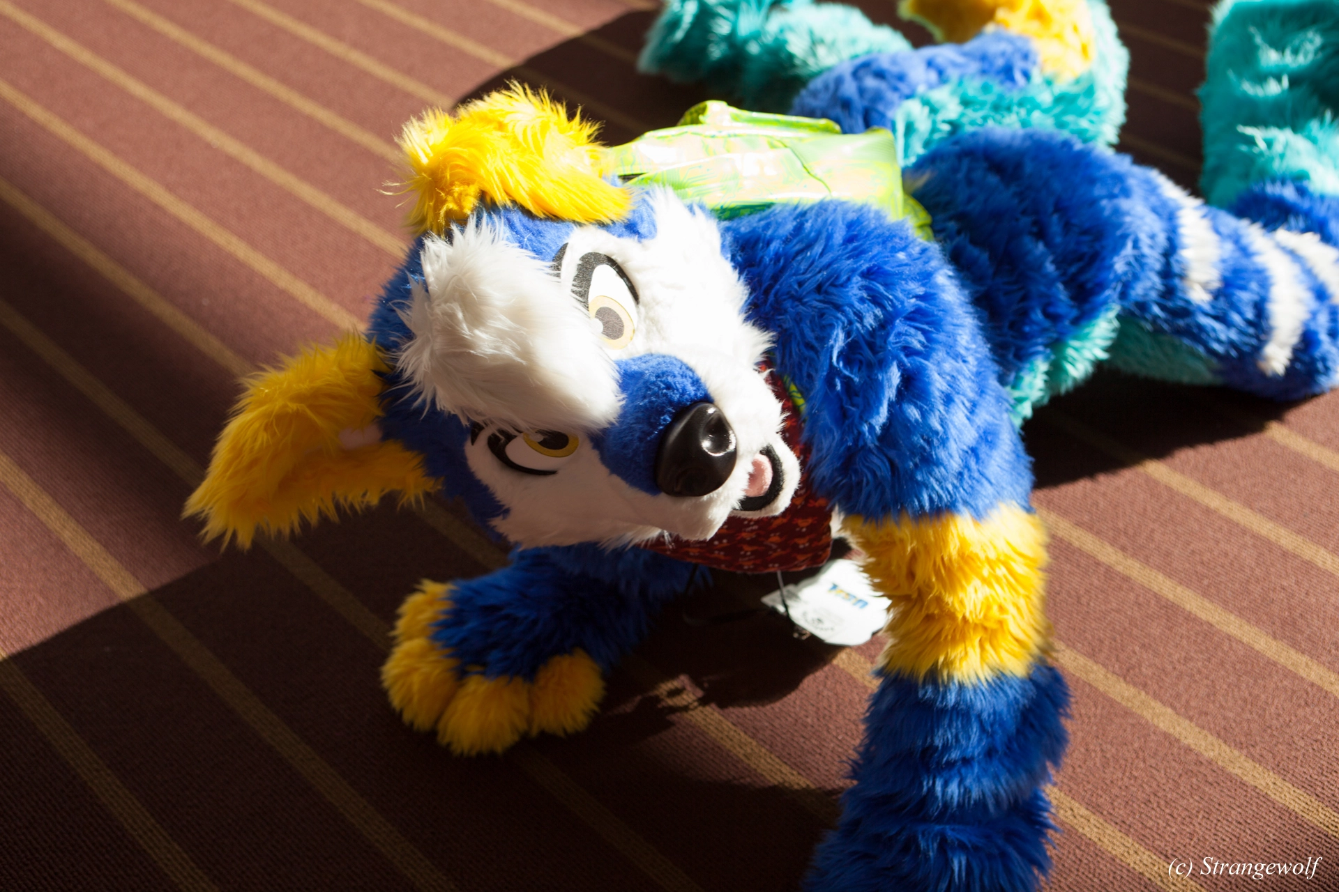 full image IMG_4387-lr19t.jpg