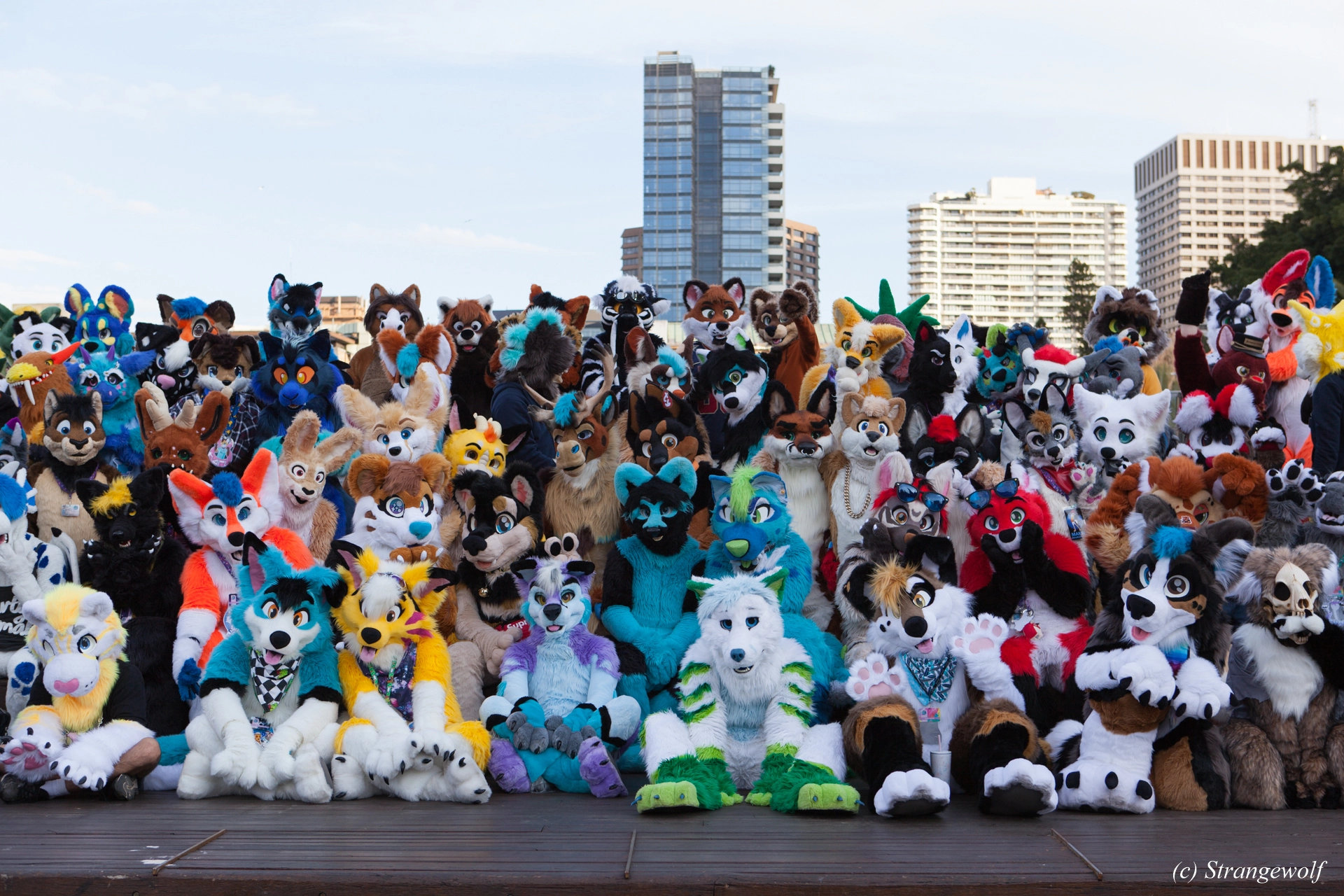 full image IMG_4631-lr19t.jpg