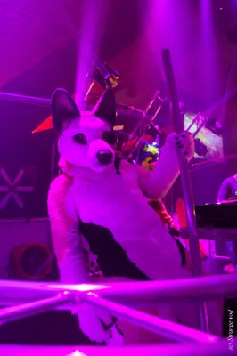 IMG_5052-lr19t.jpg of EF/EF24/