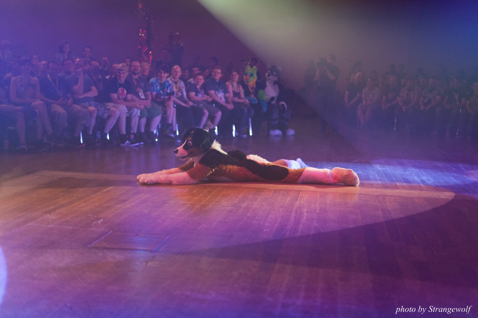 full image IMG_2537-lr16t.jpg