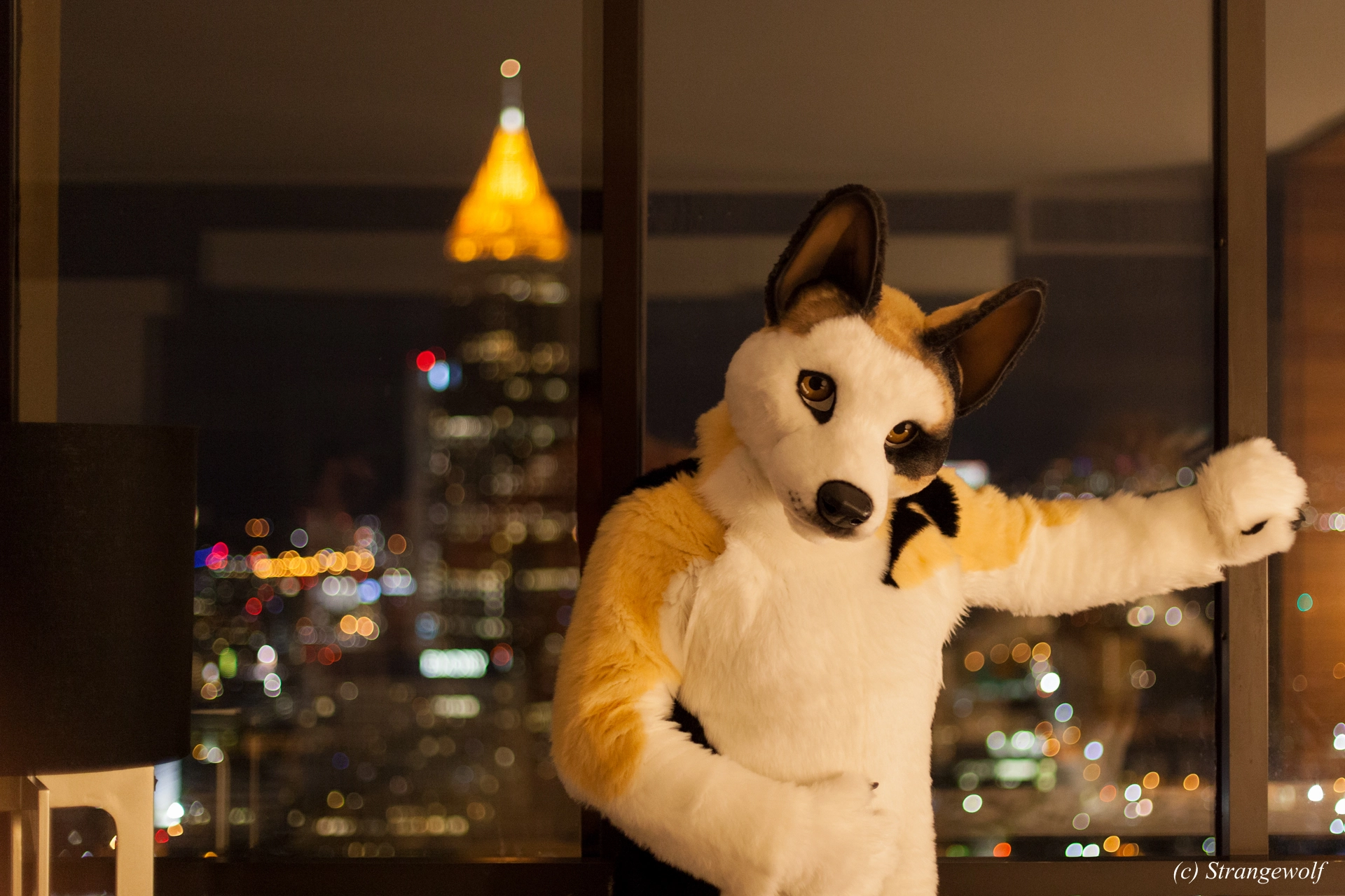 full image IMG_2128-lr19t.jpg