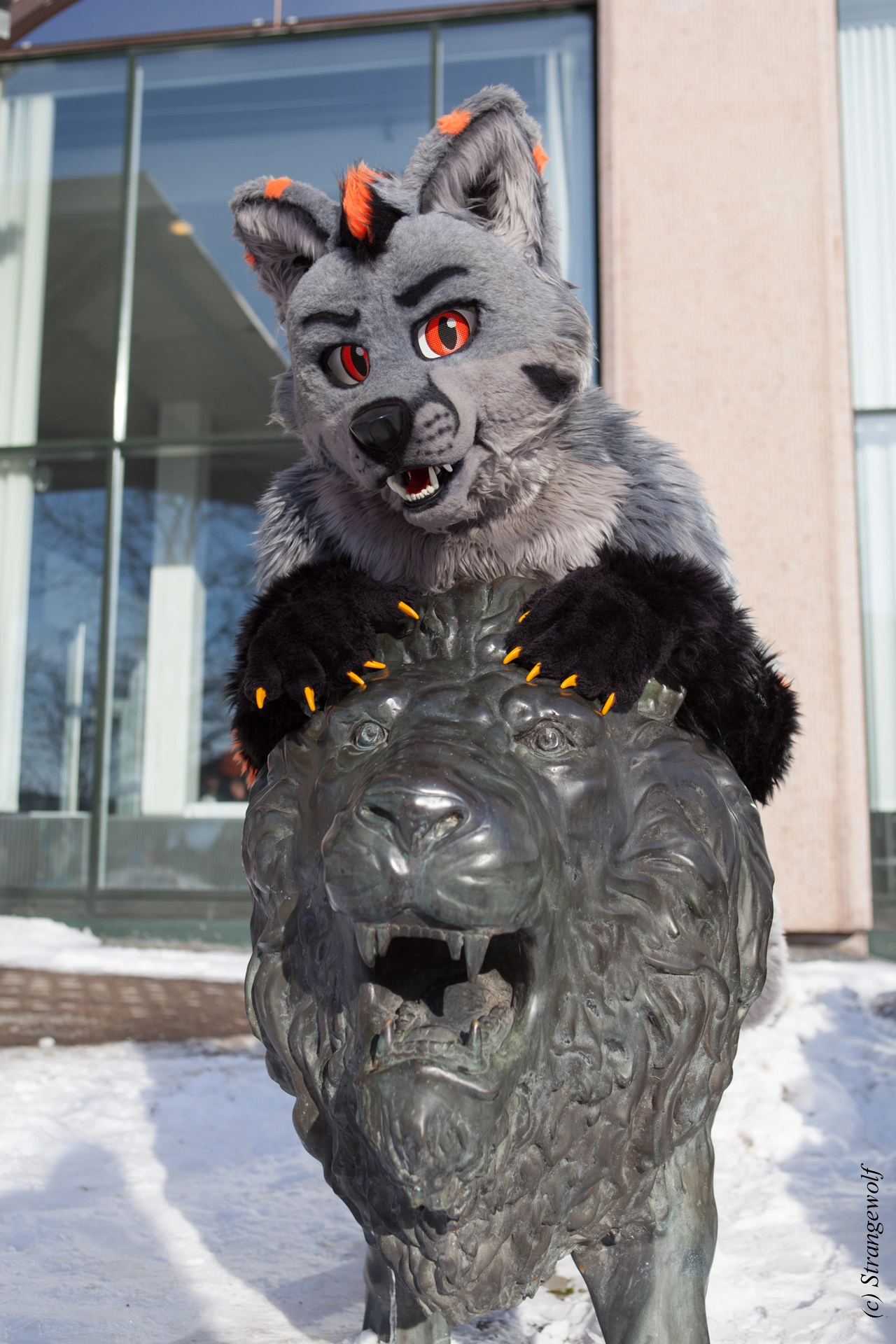 full image IMG_9705-lr19t.jpg