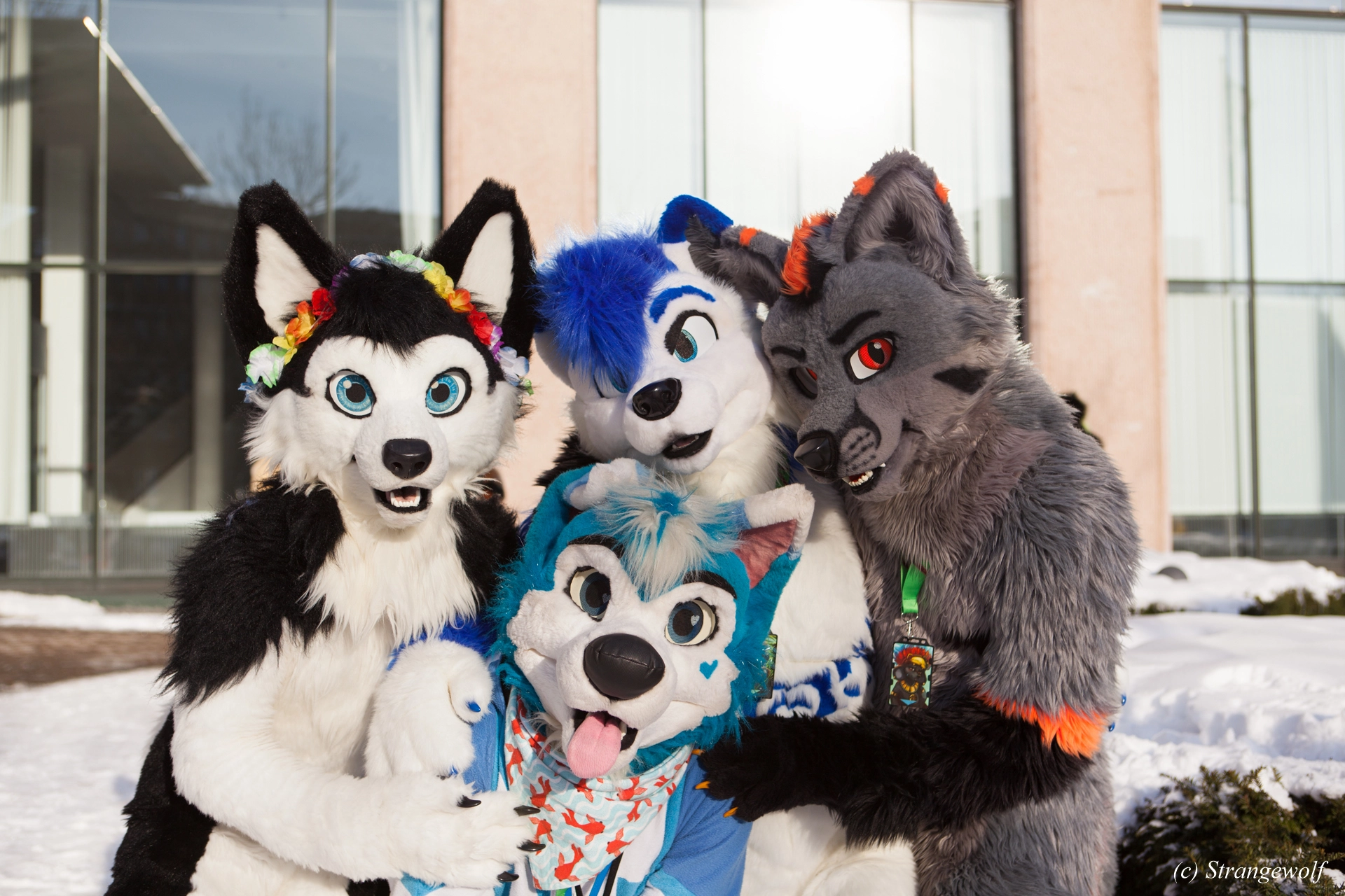 full image IMG_0032-lr19t.jpg