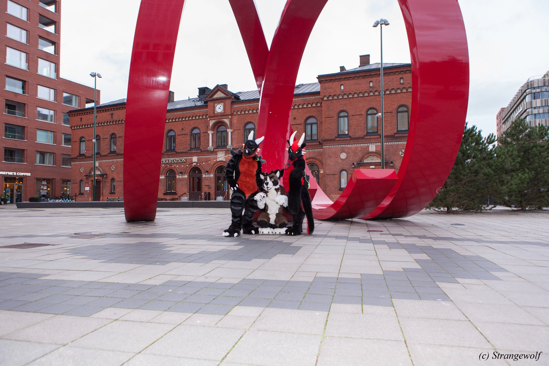 full image IMG_8980-lr19t.jpg