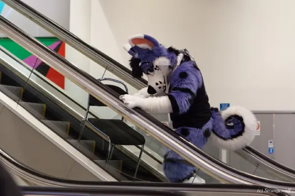 IMG_9287-lr19t.jpg of NFC/NFC2019/