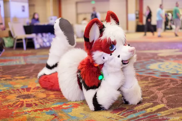 IMG_3114-lr.jpg of BLFC/2018/