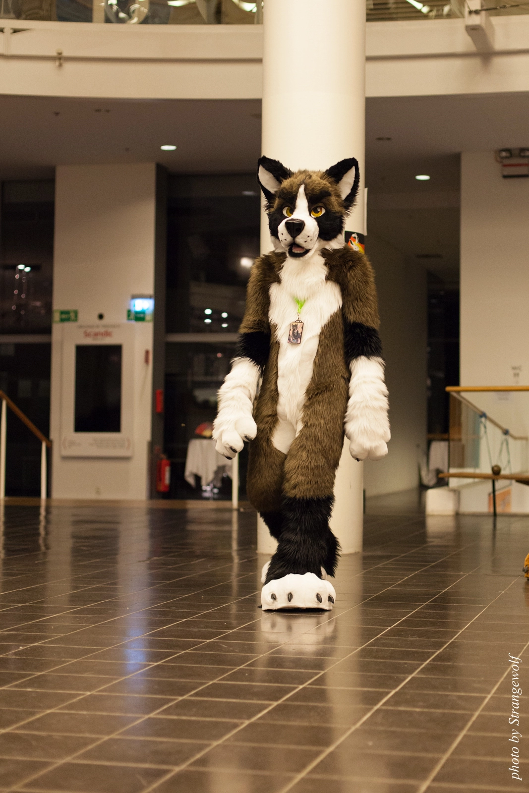 full image IMG_1953-lr16t.jpg