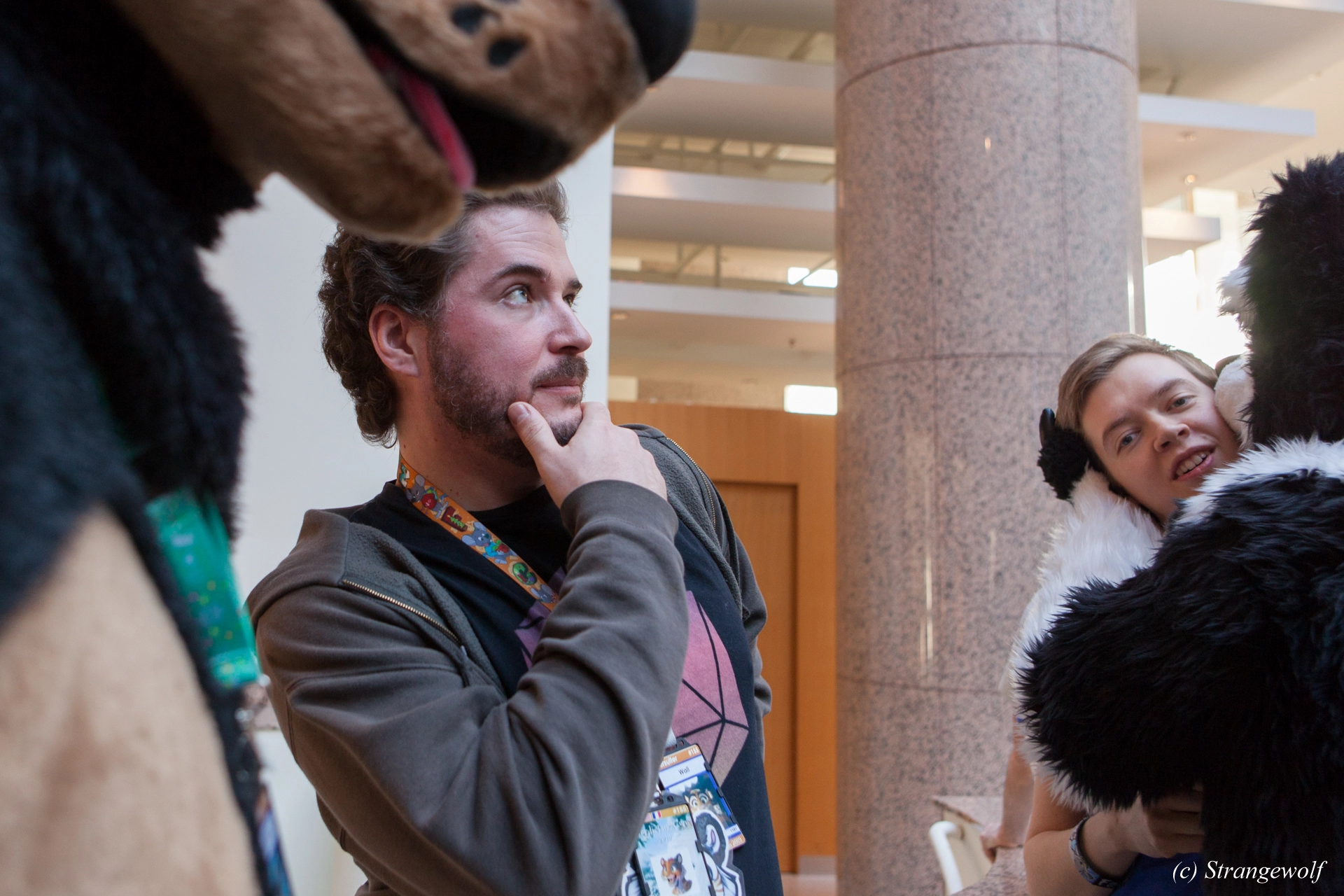 full image IMG_8747-lr19t.jpg