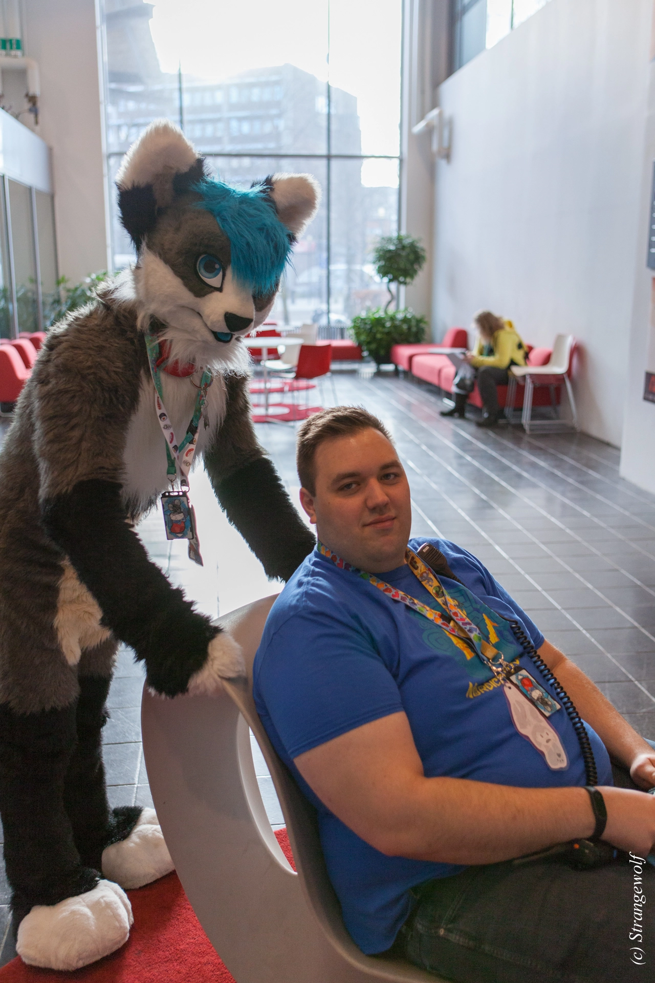 full image IMG_8769-lr19t.jpg